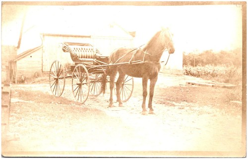 Rppc horse and - horse, empty