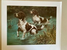  Dog art Springer Spaniel Limited Edition Print The Water Board by John Trickett