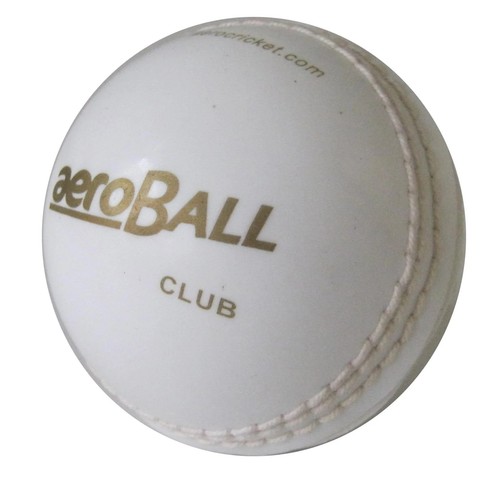 Aeroball club safety training - safety,