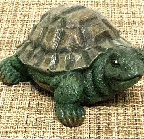 Scooter turtle concrete - "scooter",