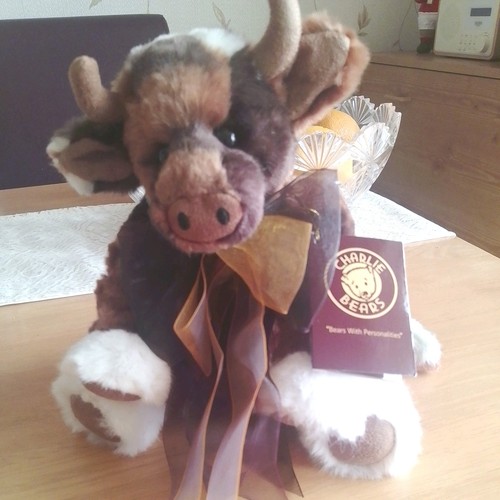 Charlie bears new for 2024 - charlie,