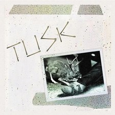 Tusk (rsd 2026) by Camper Van