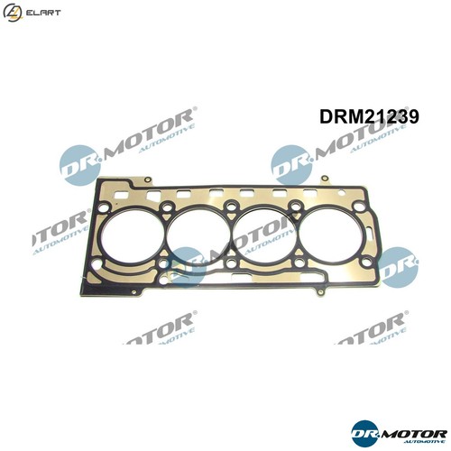 Gasket cylinder head - head, drm21239