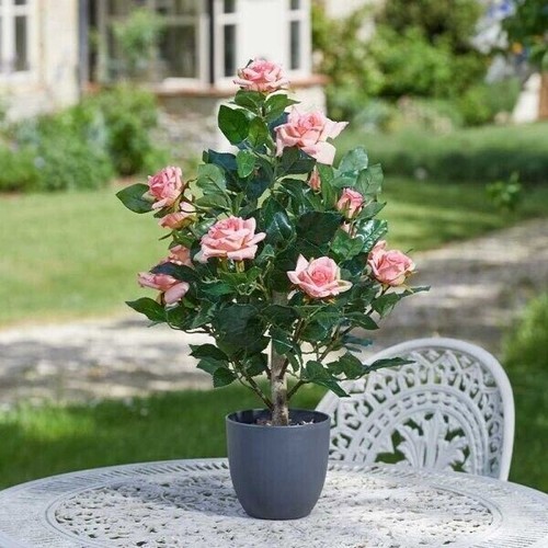 Artificial rose bush - rose, tree