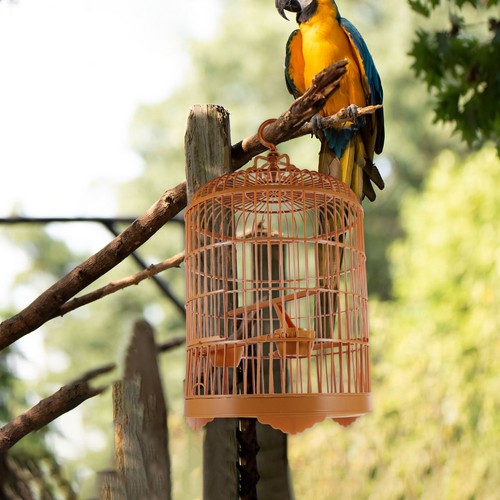 Bird cage pet birdcage - cage,