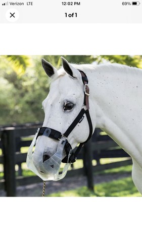 Thinline flexible filly - thinline,