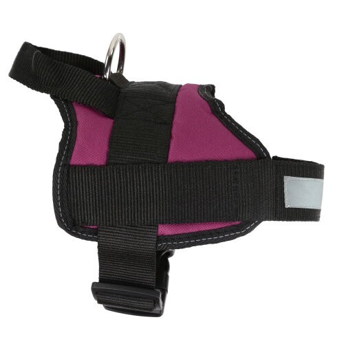 Reflective small dog - reflective,
