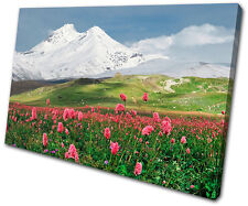 Landscapes Floral Mountains