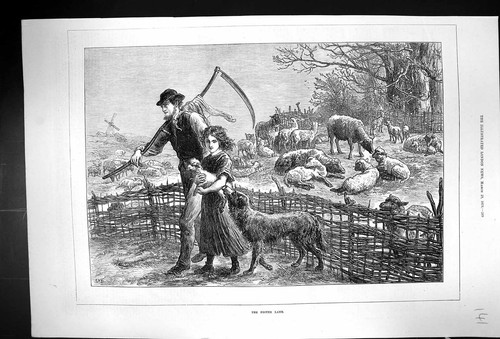 Old antique print - 1873, foster