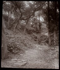 Magic Lantern Slide IN