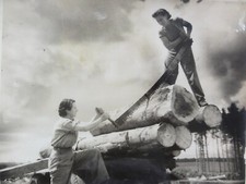 VTG Press Photo Womens Timber