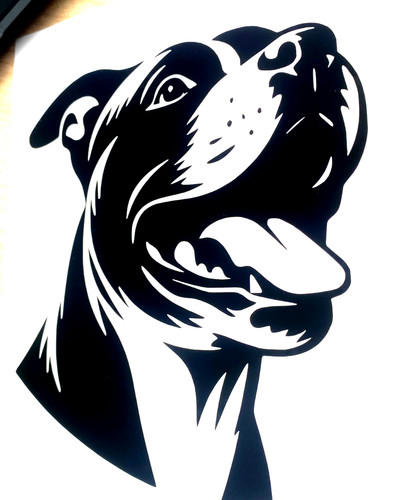 Staffordshire bull terrier - bull,