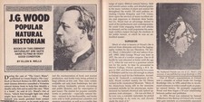 J. G. WOOD. POPULAR NATURAL