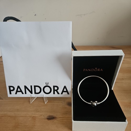 Pandora harry potter - pandora, x