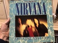 Nirvana Smells Like Teen