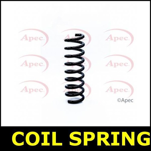 Coil spring rear - spring, for