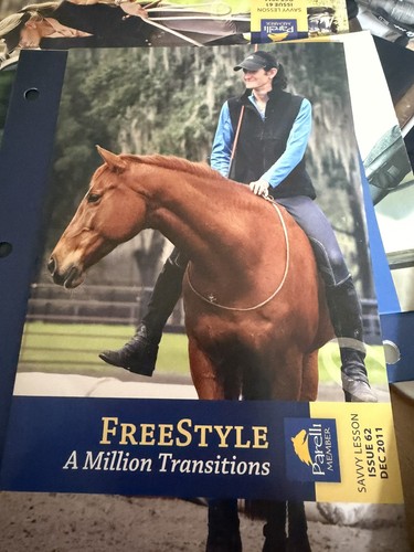 Parelli dvd freestyle - dvd,