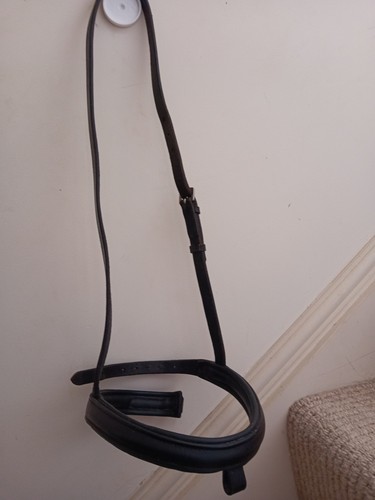 Noseband raised padded black - noseband.,