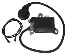 Ignition Module Coil 3 Hole