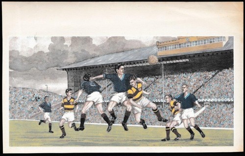 Bailey match action - k.h., 'match