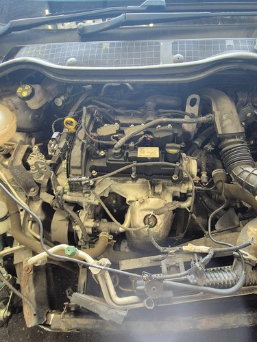 Ford zetec 2017 petrol 1 - ford,