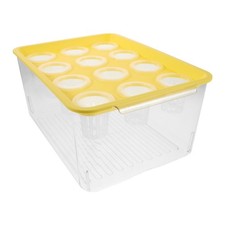  Desktop Hydroponic System