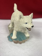 White Wolf Dog Icy Romp Arctic