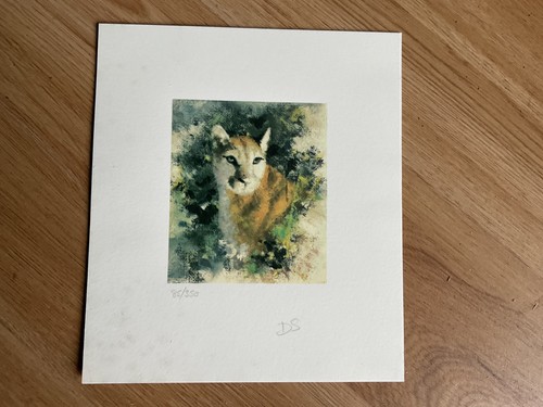 David shepherd cameo ltd - shepherd,