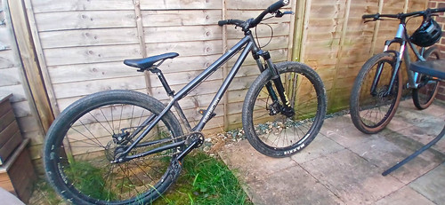 Saracen grey looking for - dj,