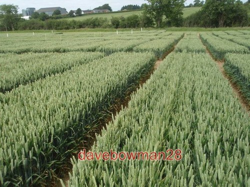 Photo oadby lodge farm - oadby, trial