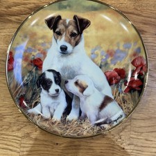 Danbury Mint Porcelain Plate