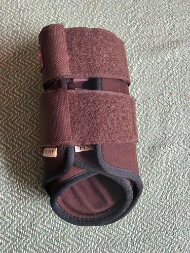 Gallop brown horse tendon - gallop,