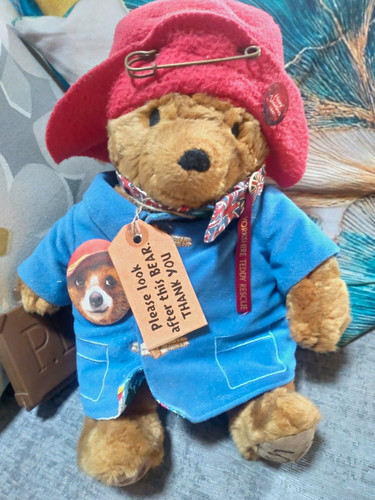 Paddington bear s 50 - paddington, m