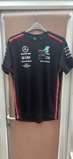Mercedes AMG Petronas F1 Team
