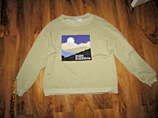 WILDFOX light green High Sierras SWEATSHIRT size S oversized