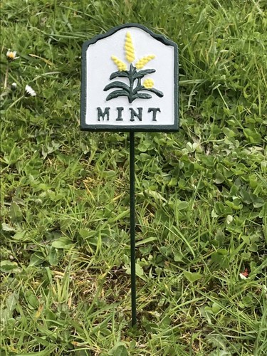 Cast iron garden herb - iron,