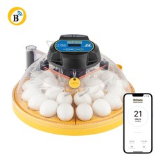 NEW Brinsea Maxi 24 EX Connect Incubator (Automatic)24 Hen/Poultry egg Incubator