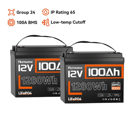 2pack 12v 100ah 2560wh lifepo4 - 2pack,