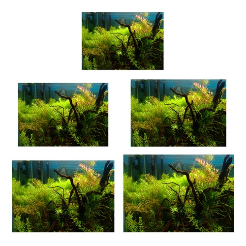 Artificial marine sticker - artificial,