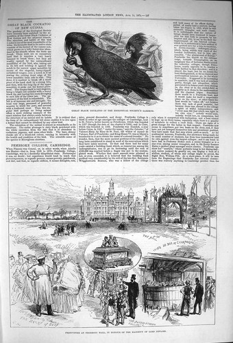 Original old antique print - antique,