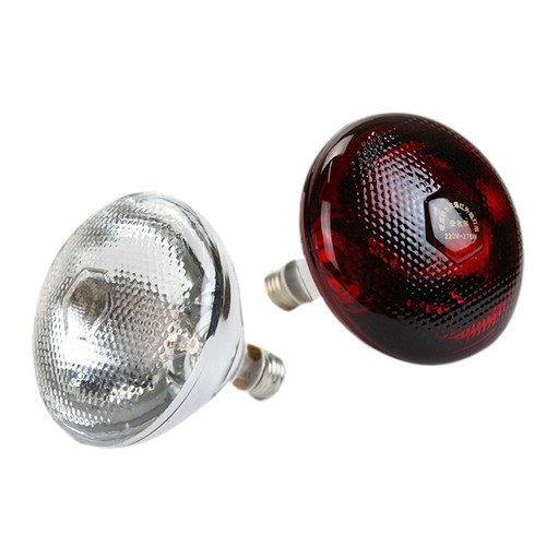 Heating lamp bulb - heating,