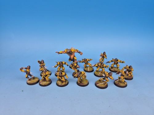 Blood bowl human team - bowl, 5th