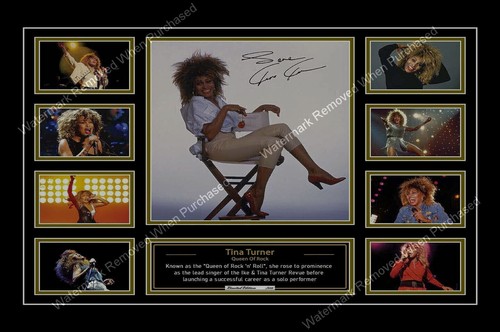 Tina turner 2023 tribute - tina,