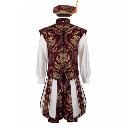 Historical tudor costume - costume, regal