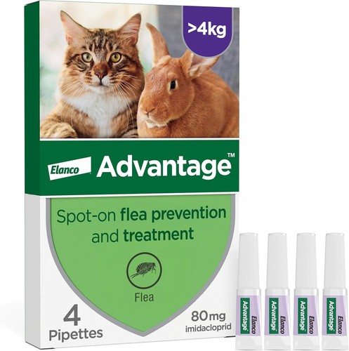Spot flea treatment - treatment, for