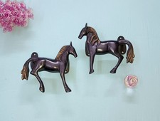 Foal Male Female Horse Door