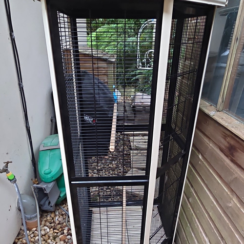 Tall black wire bird cage - black,