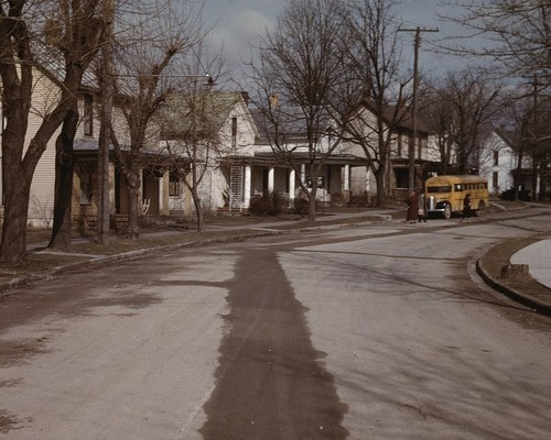 School bus street - bus, in