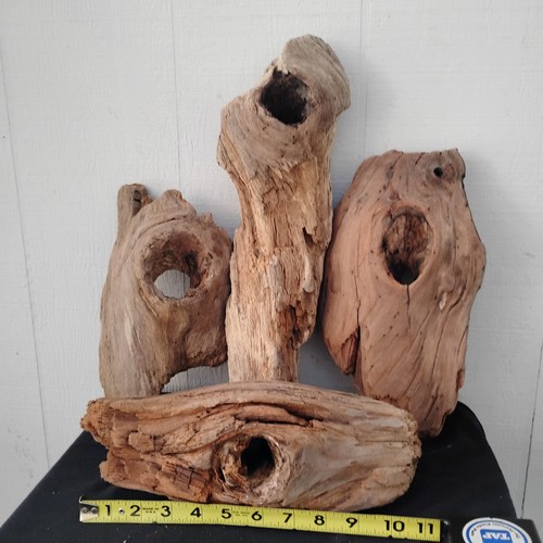 Lot driftwood 4 - (4, pieces