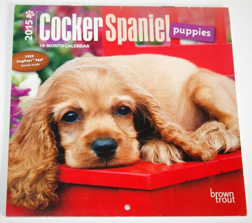 Cocker spaniel mini calendar - spaniel,